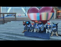 Dogs wearing goggles pose by heart sculpture 