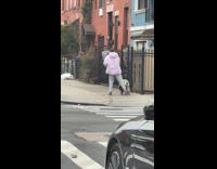 Collab WINY - Lady Walks Pet Pig by Street Sidewalk