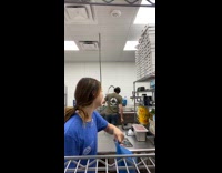 Collab Clips MPUGC - Woman pranks brother during work 