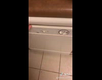 Tiktok guinea pig inside of washing machine with soap