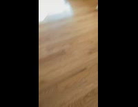 Dog doesnt know what to do with two balls 