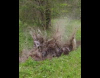 Guy backflips and belly.flops into mud puddle 