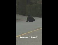 Collab Kook Of The Day - I mean oh no Guy's One Wheel Hover board Rolls Down Hill