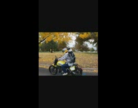 Dog holds onto man and rides motorcycle