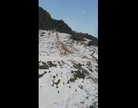 Guy riding sled falls and rolls fail