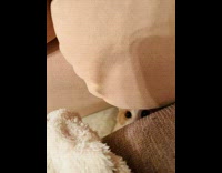 Woman and cat play with measuring tape 