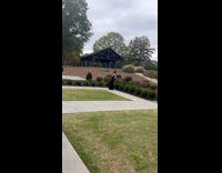 Woman in black dress poses by the garden bushes