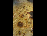 Spreading butter on cooked tortilla and rolling it 