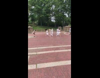 Dancers perform together for video at park 
