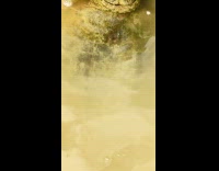 Man films turtle rat appears on video