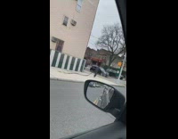 Man Drags Long Pipe on Sidewalk 