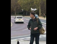 Seagull on top of the head of the man