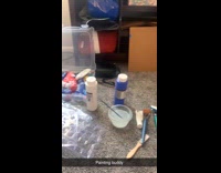 Collab Clips MPUGC - Cat sitting upright beside hooman