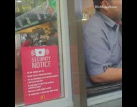 Husky dog eats ice cream cone car