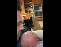 Dad caresses baby in arms while dog looks on in jealousy