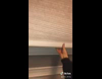 Mom drops facts about new blinds