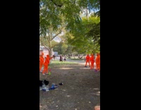 Group wear Lorax costume play at park