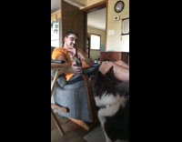 Black and white dog is interested in quacking bird noises coming out of walkie talkie