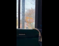 Man doing pull ups on crosswalk light signal