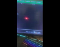 Chihuahua bark react to sound from computer