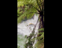People on inflatable raft ride down waterfalls