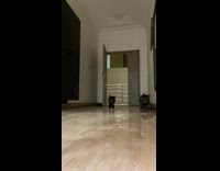 Cat run back after hearing fireworks outside house