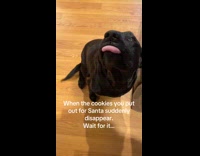 Collab Clips MPUGC - Guilty black dog stole cookie
