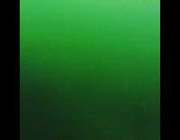 View deep underwater while scuba diving 