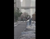 Woman leather jacket butt out bridge picture