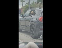 Dog in car in front of guy wants his food 