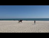 Girl black jacket ride horseback on beach