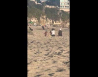 Collab IITW - Group of people dances at the beach