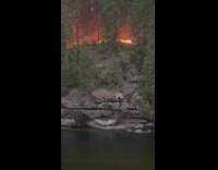 3 guys dive with forest fire behind them 