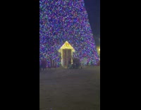 Four women poses together in front of large Christmas Tree
