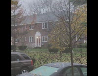 Lots of birds on house front yard