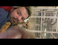 Collab BitchIG2 - Chihuahua gets jealous of other dog guy