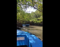 Guy drives blue boat brown water forest 
