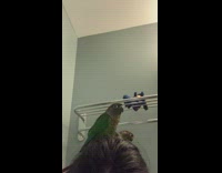 Two green birds on head girl bathroom 
