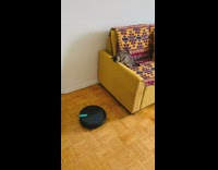 Kitten stares at Roomba on floor 