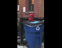 Spiderman head peeks from bin 