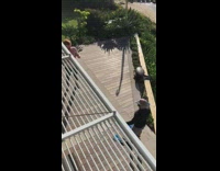 Guy poses with snorkeling gear blue fins 