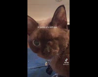 Girl in bed shows her cat missing one eye 