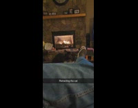 Cat retract lower and lower  because of sound