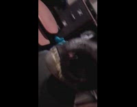 Dinosaur mask with sound effects