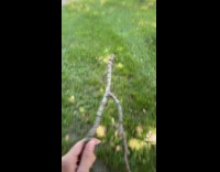 Collab Clips MPUGC - Woman jokes about way finding stick 