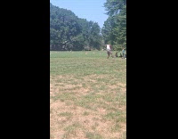 Man swaying swords at park