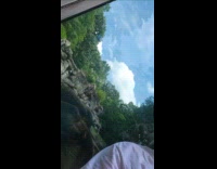 Man attacked by grizzly bear behind glass