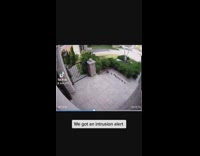 Family of ducks security camera stuck in pool 1