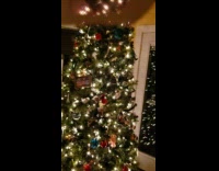 Christmas lights changes through the snowflake lens