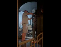 Owl land on arm of guy inside house